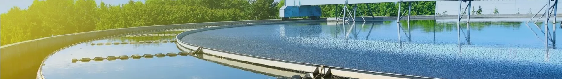 Slurry Pumps